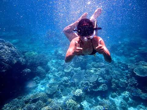 island hopping adventure snorkeling